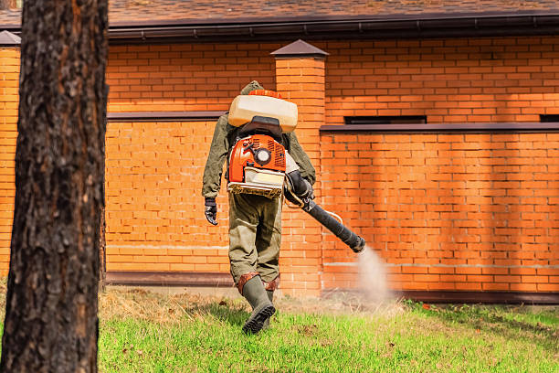 Bed Bug Clearance Verification and Documentation in South Eliot